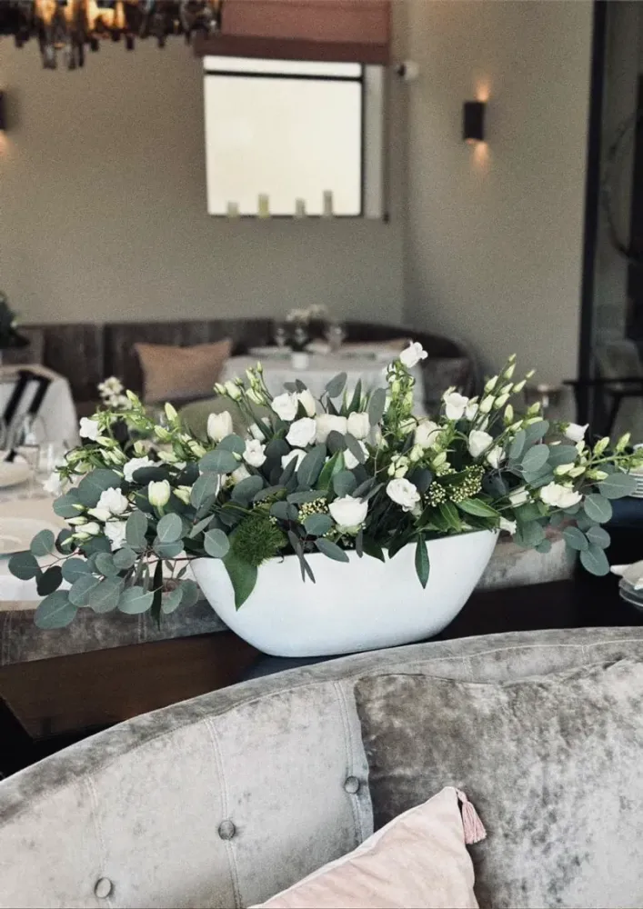 roses-plantes-vertes